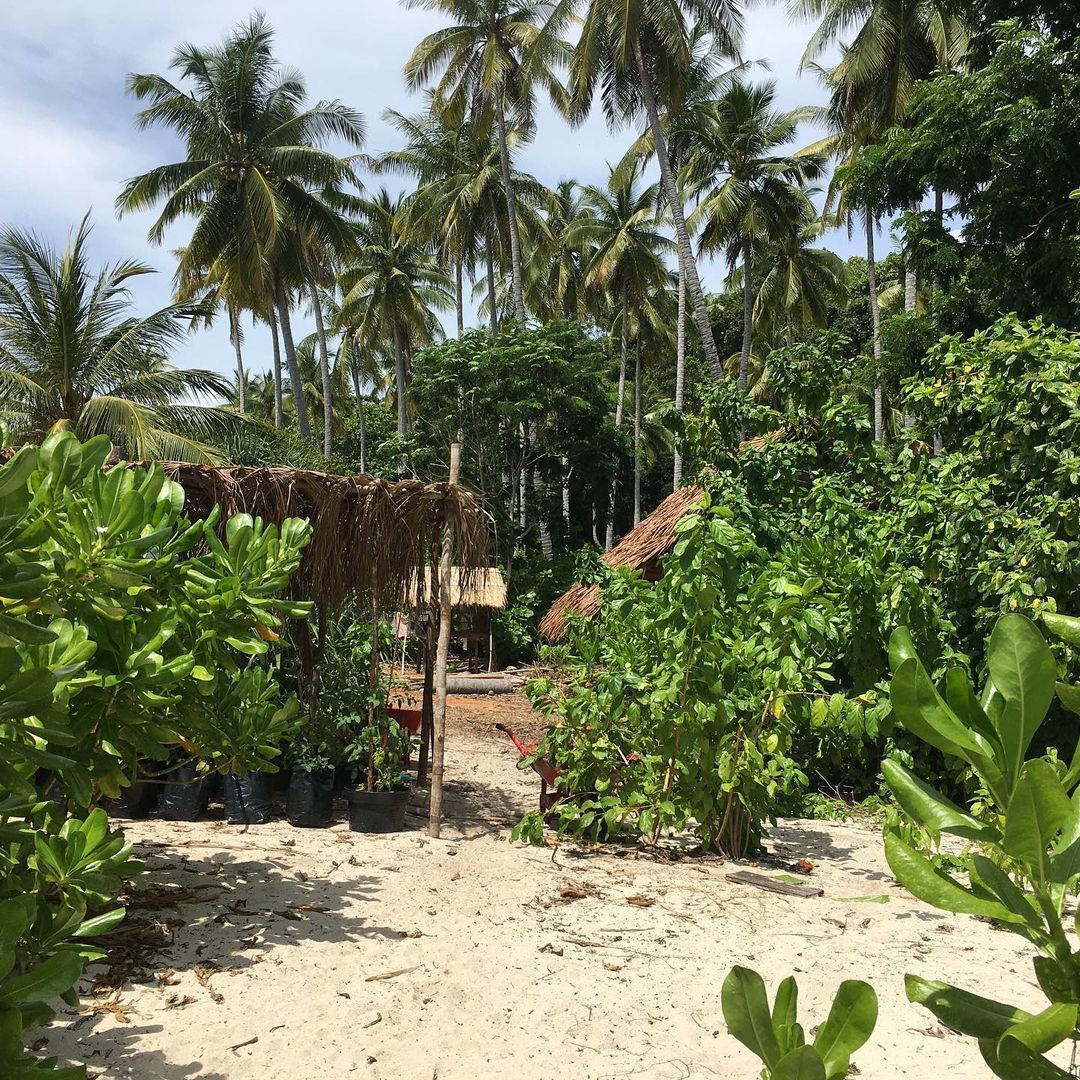 Konservasi Tumbuhan di Pulau Samak